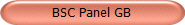 BSC Panel GB